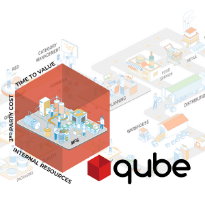 Qube: Accelerating ERP Implementations Through ClearPrism’s Signature Methodology